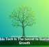 Scalable Tech Is The Secret to Sustainable Growth